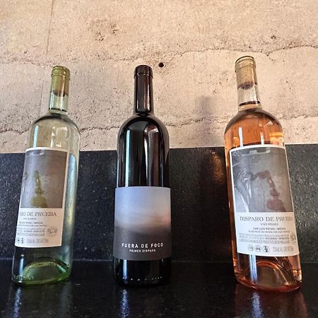 Choza Vinedo Bodega 1881 ξενώνας Σαν Λουίς Ποτοσί Εξωτερικό φωτογραφία